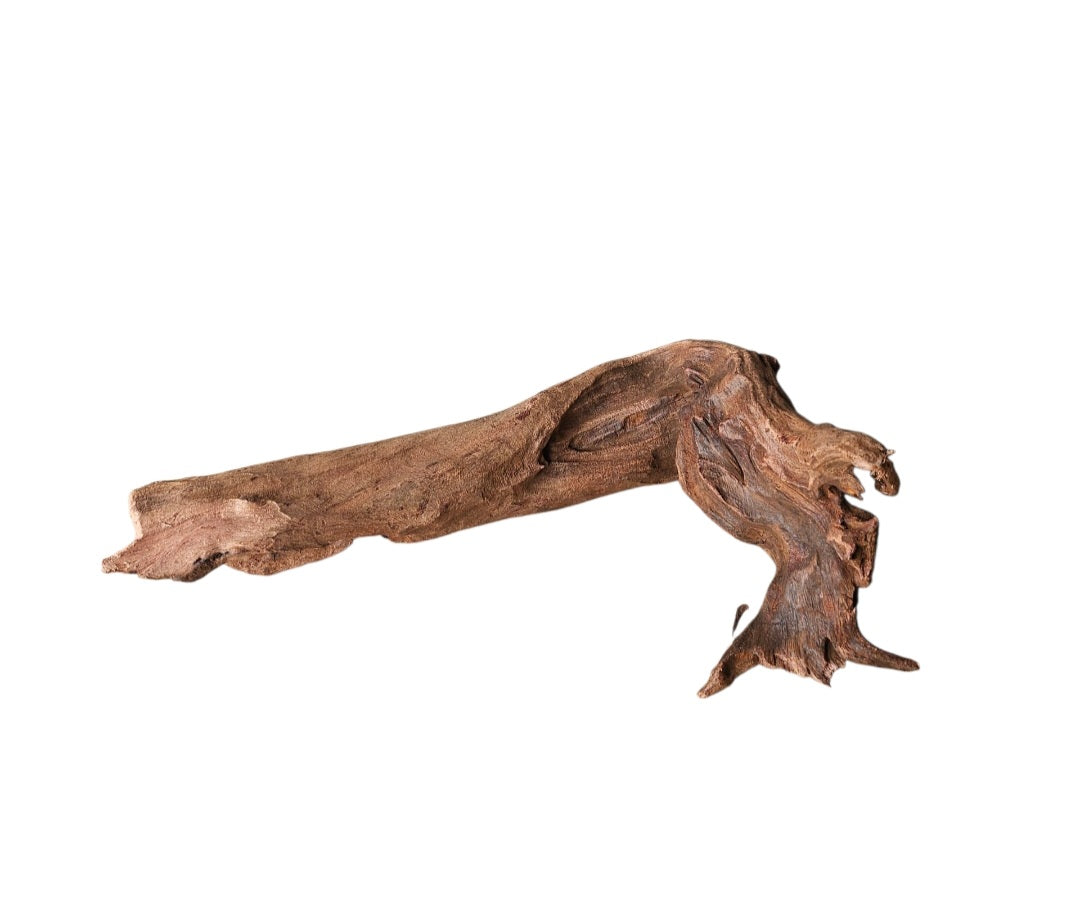 Driftwood / Flusswurzel   Nr.374