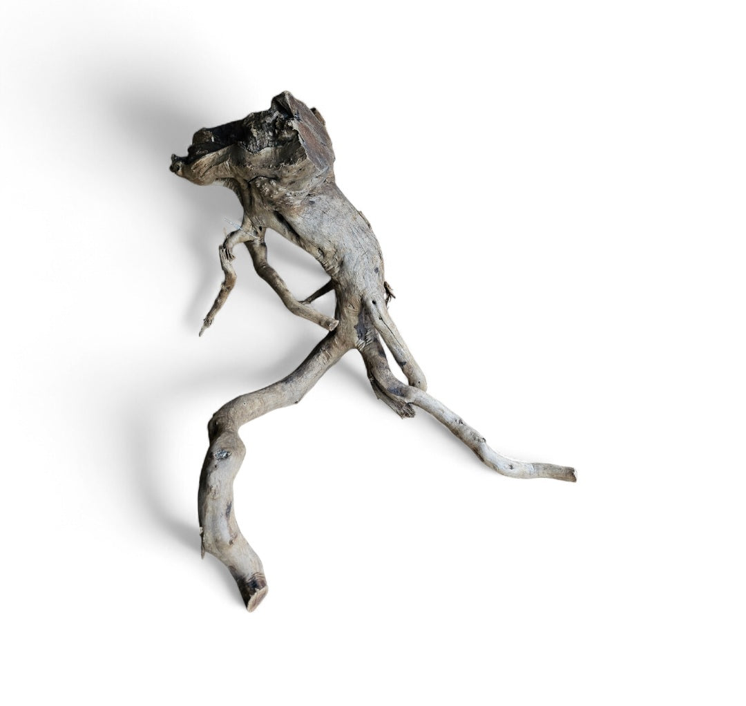 Dunkle Moorwurzel L (40-45 cm)   Wurzel 17