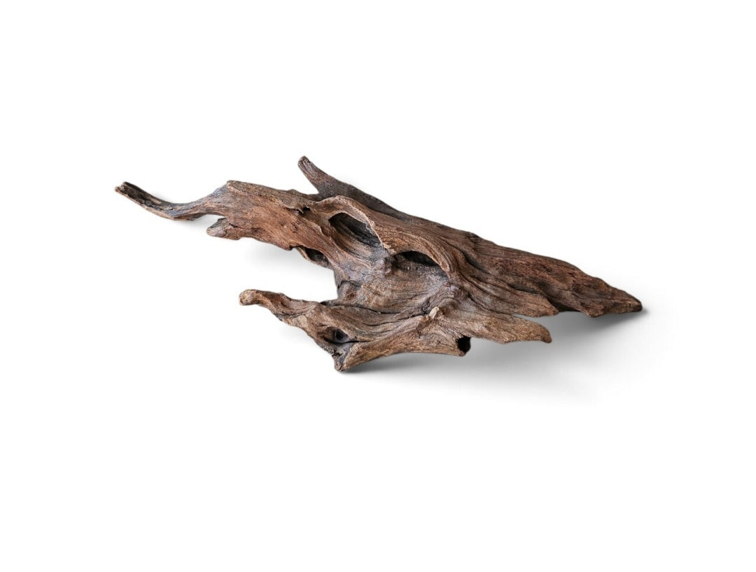 Coral Sinker Wood   Nr. 117