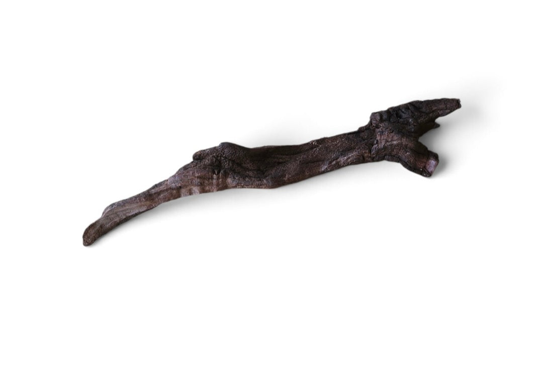 Driftwood / Flusswurzel   Nr. 491