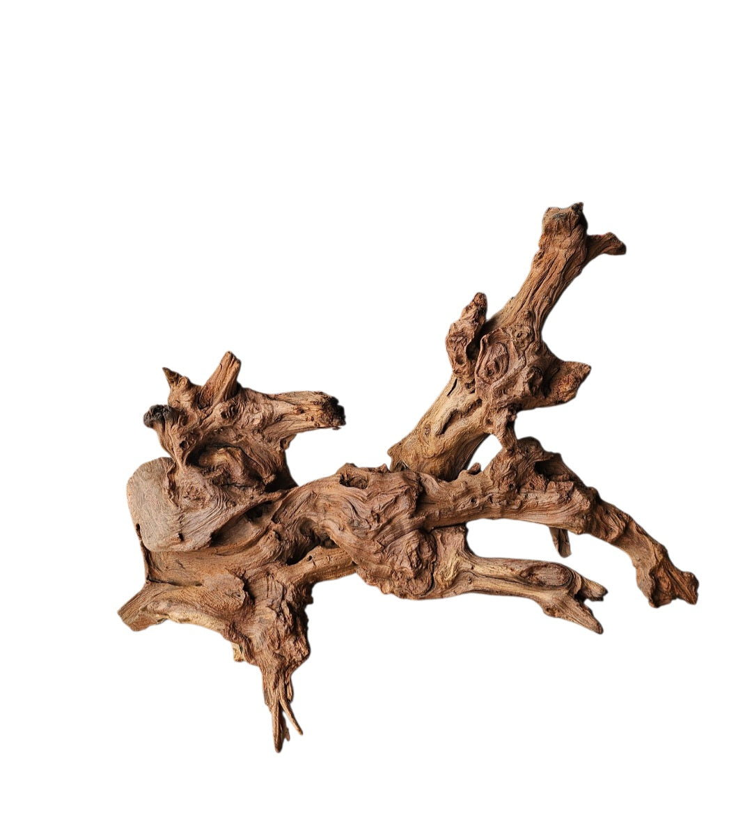 Driftwood / Flusswurzel   Nr. 270