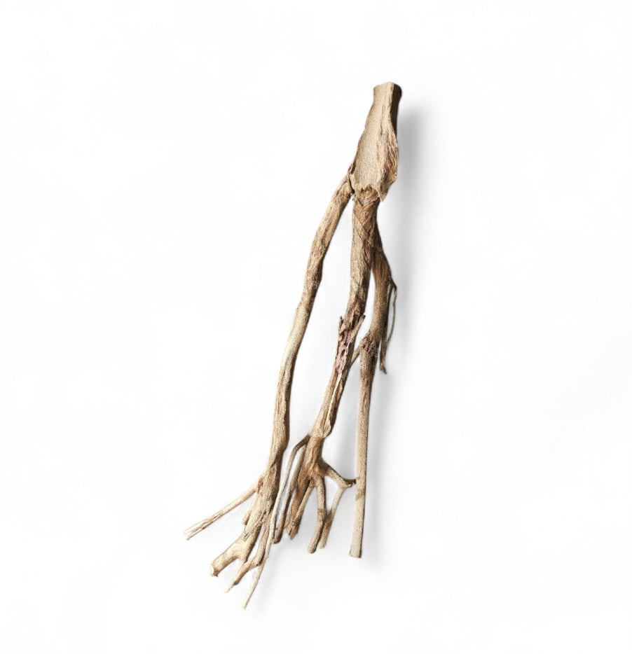 Talawa Holz / Wood 50-70 cm   Nr. 775