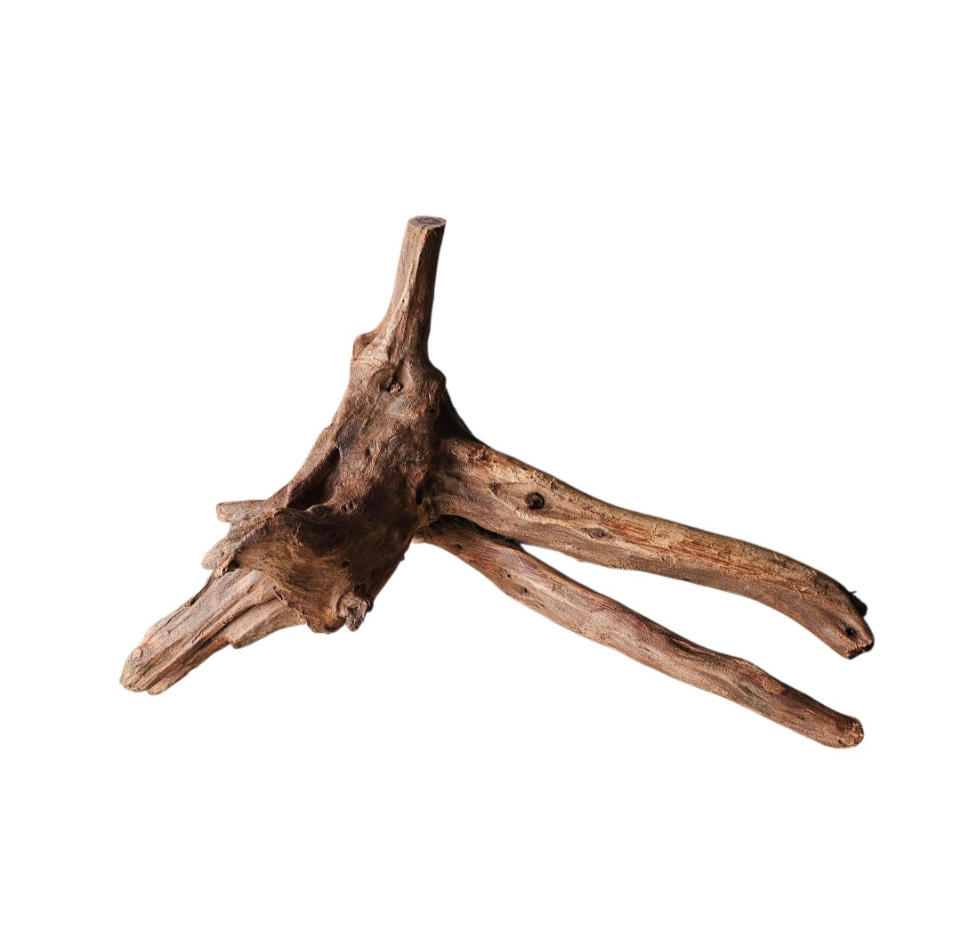 Driftwood / Flusswurzel   Nr.991