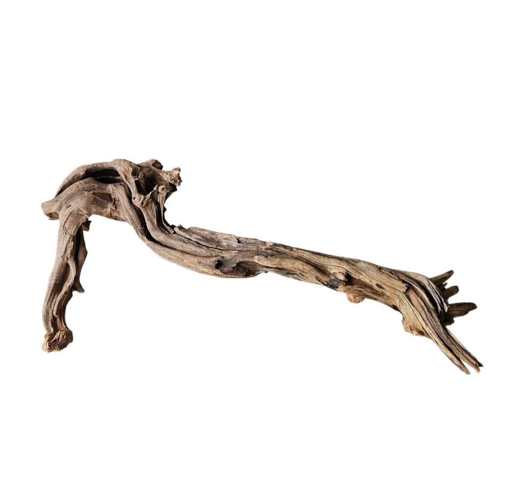 Coral Sinker Wood   Nr. 460