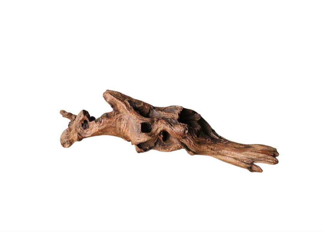 Driftwood / Flusswurzel   Nr.793
