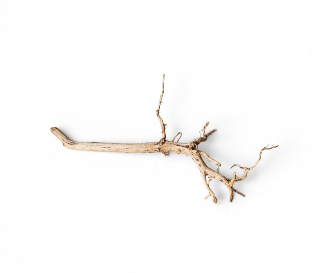 Dark Snake Wood   Nr.447
