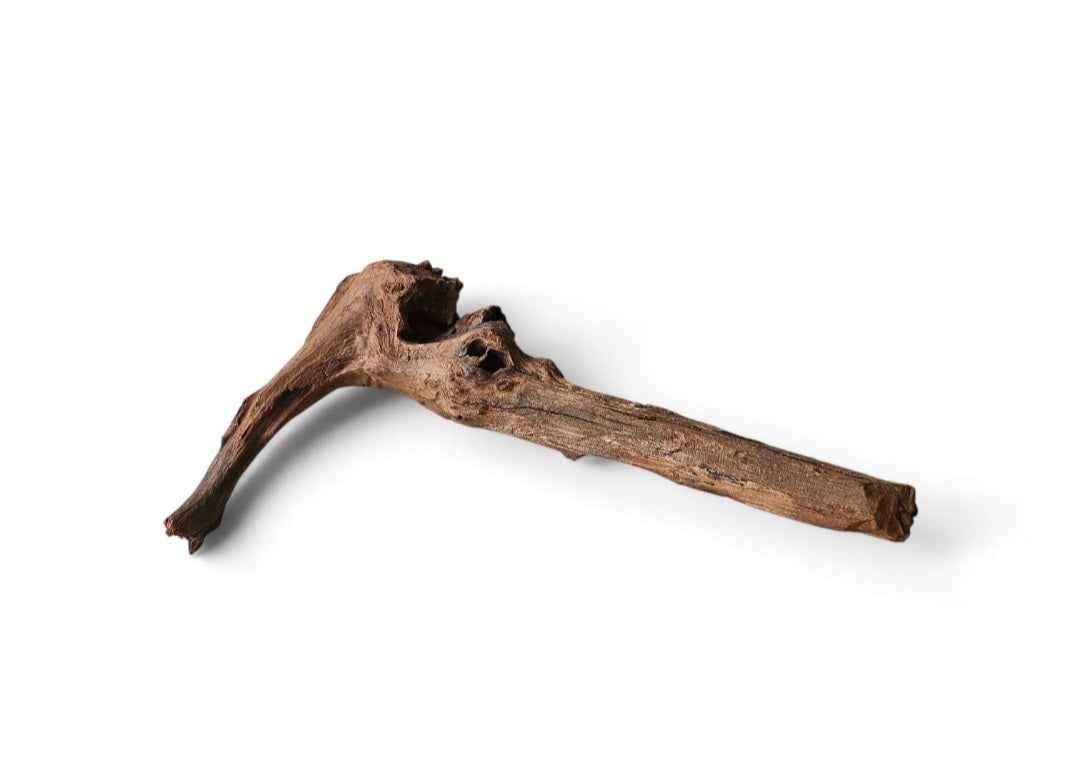 Driftwood / Flusswurzel   Nr. 373