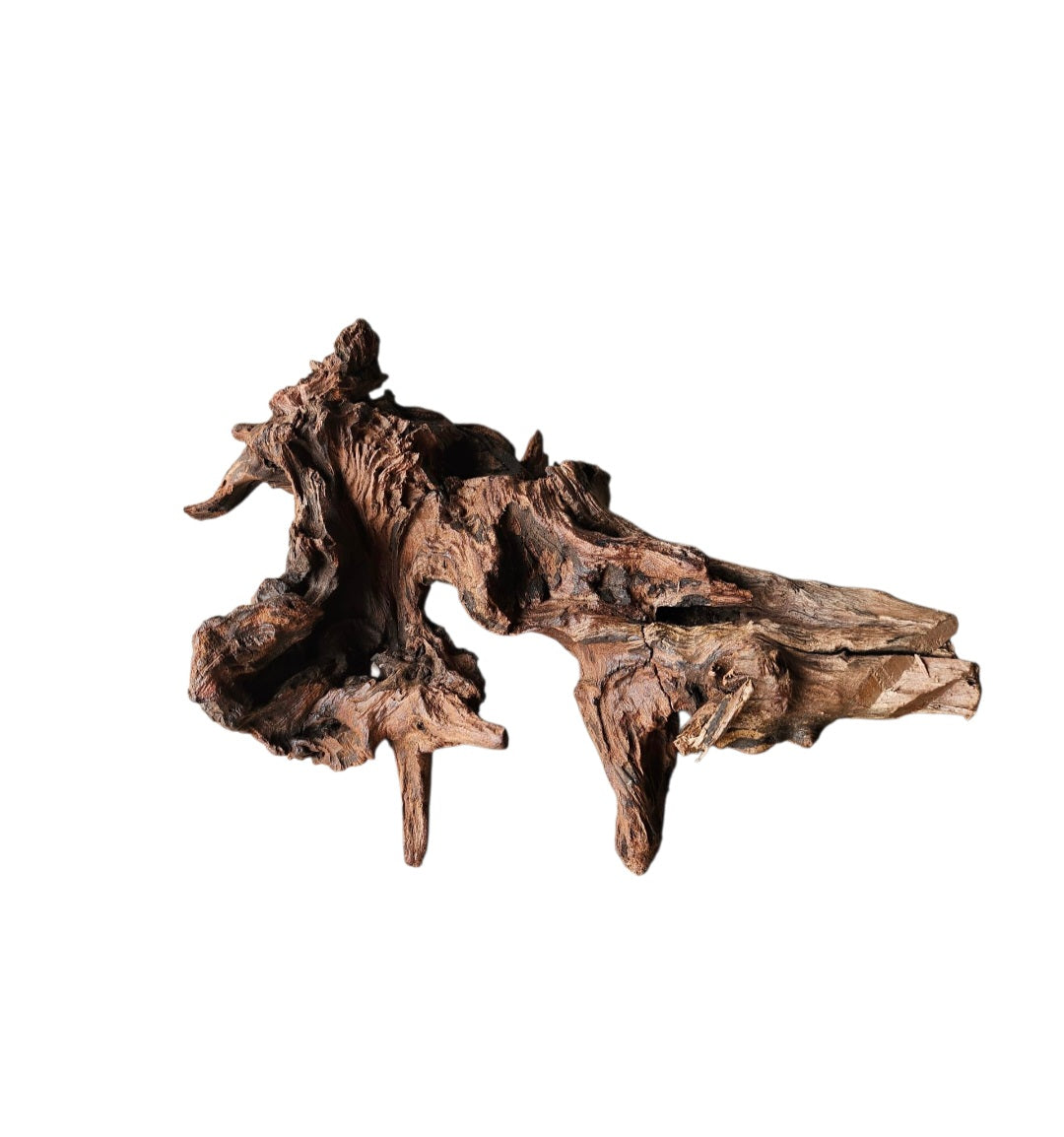 Driftwood / Flusswurzel   Nr.51