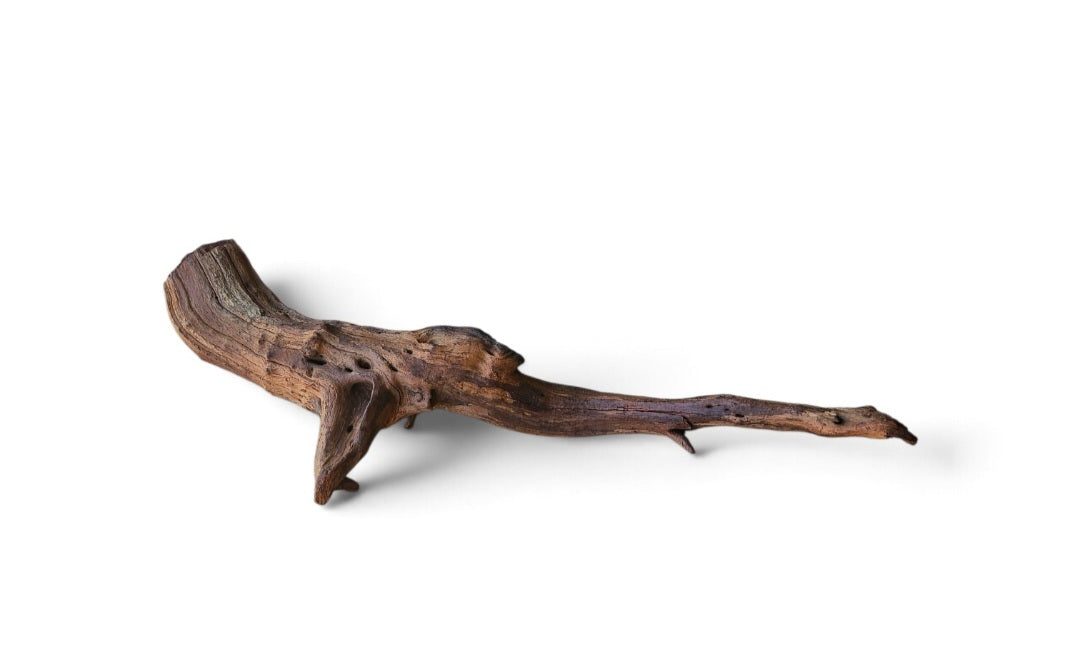 Driftwood / Flusswurzel   Nr.324