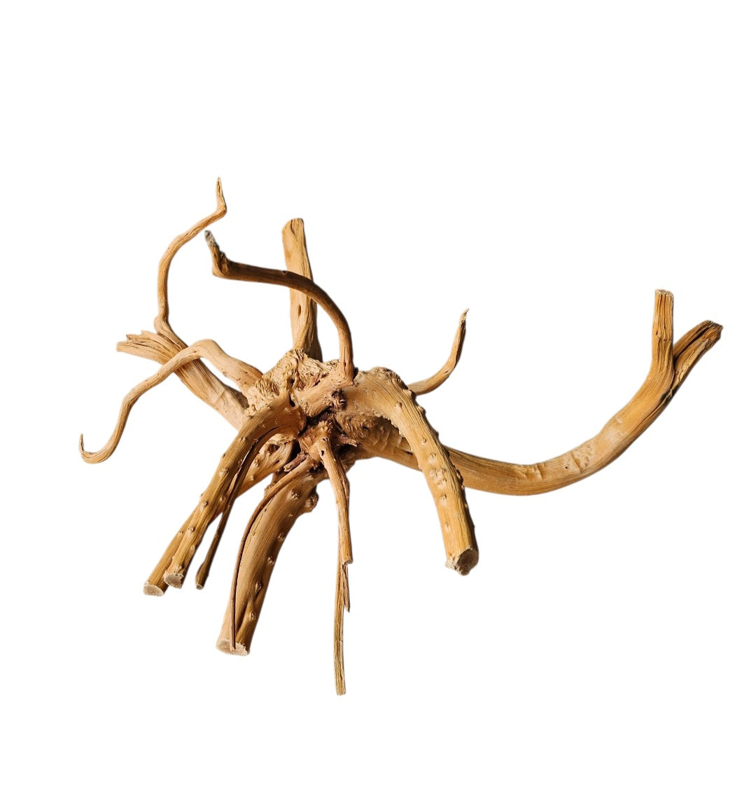 WIO Tree Trunk Wood  Wurzel 292