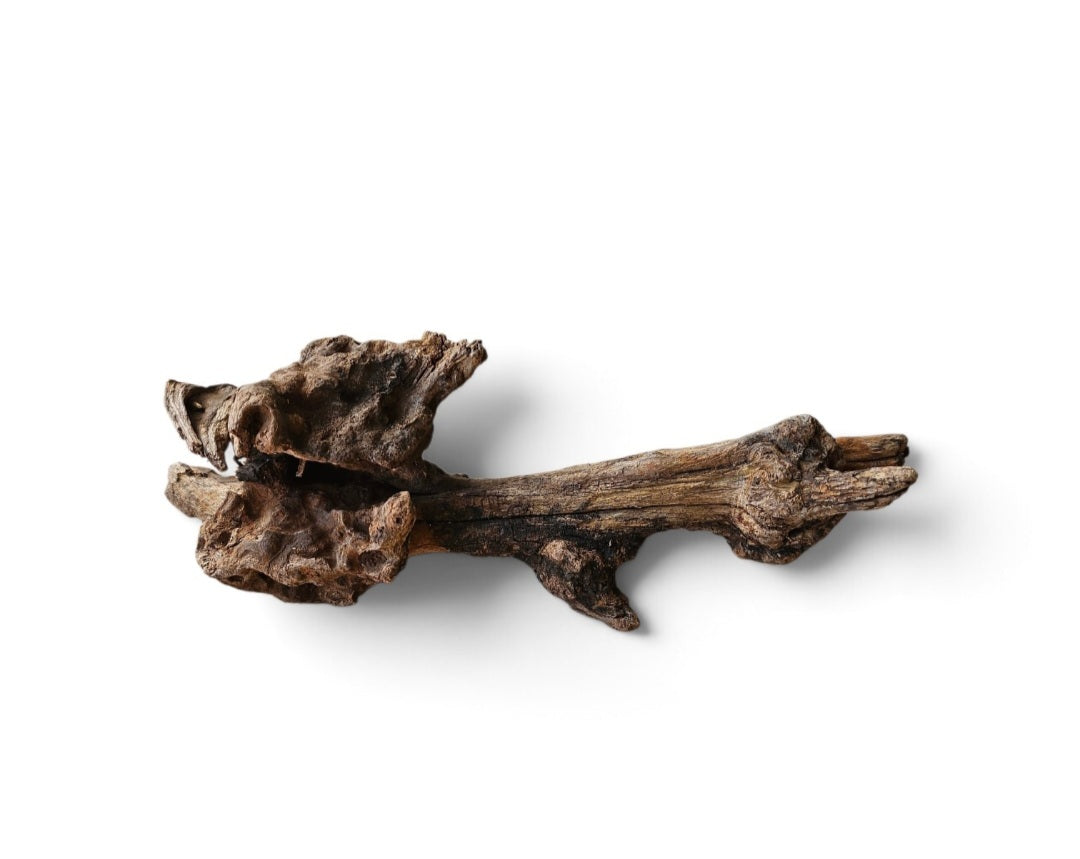 Coral Sinker Wood   Nr.654