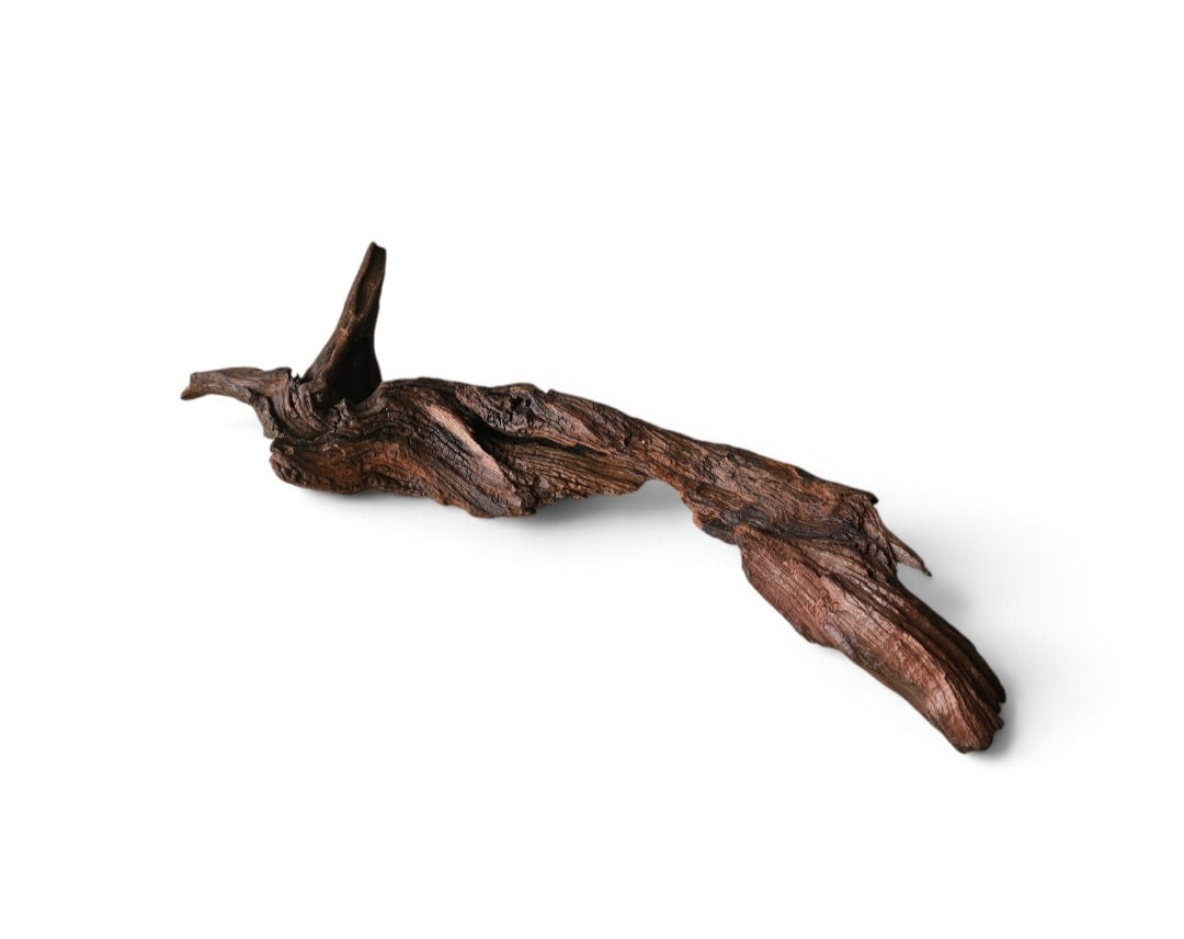 Driftwood / Flusswurzel   Nr. 975