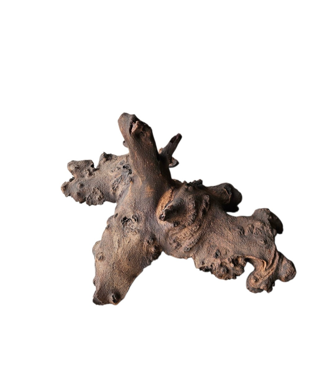 Mopani Wurzel  Nr.858