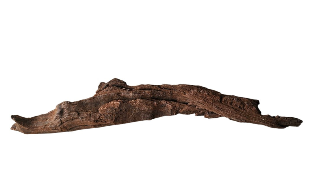 Driftwood / Flusswurzel   Nr.324