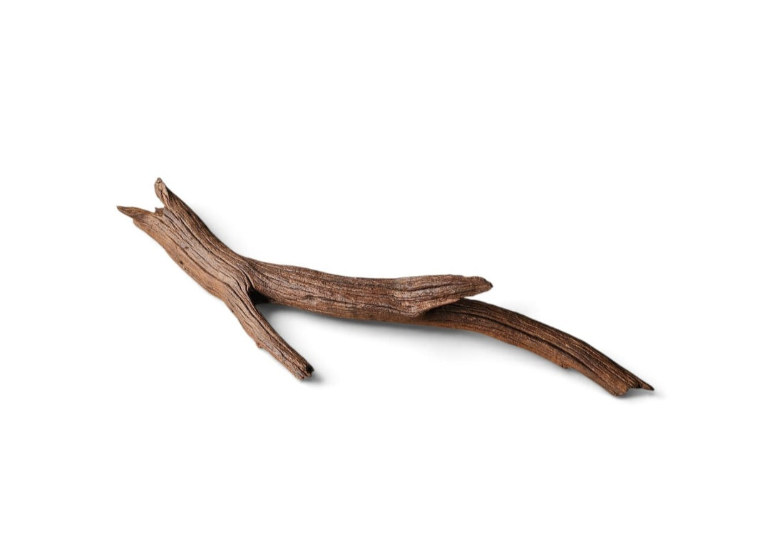 Driftwood / Flusswurzel   Nr. 370