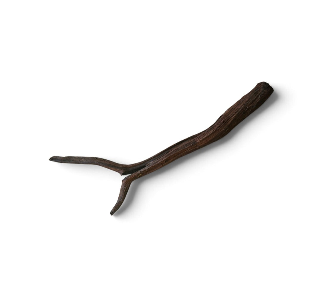 Driftwood / Flusswurzel   Nr.51