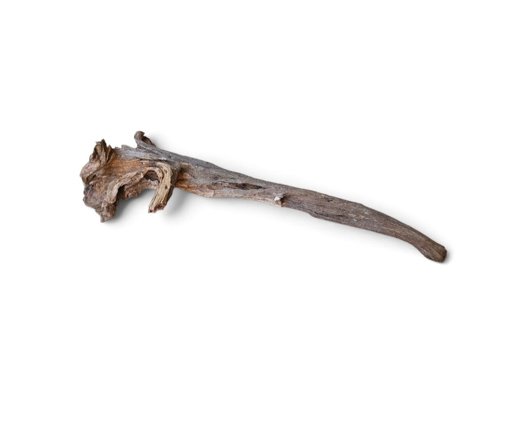 Coral Sinker Wood   Nr. 868