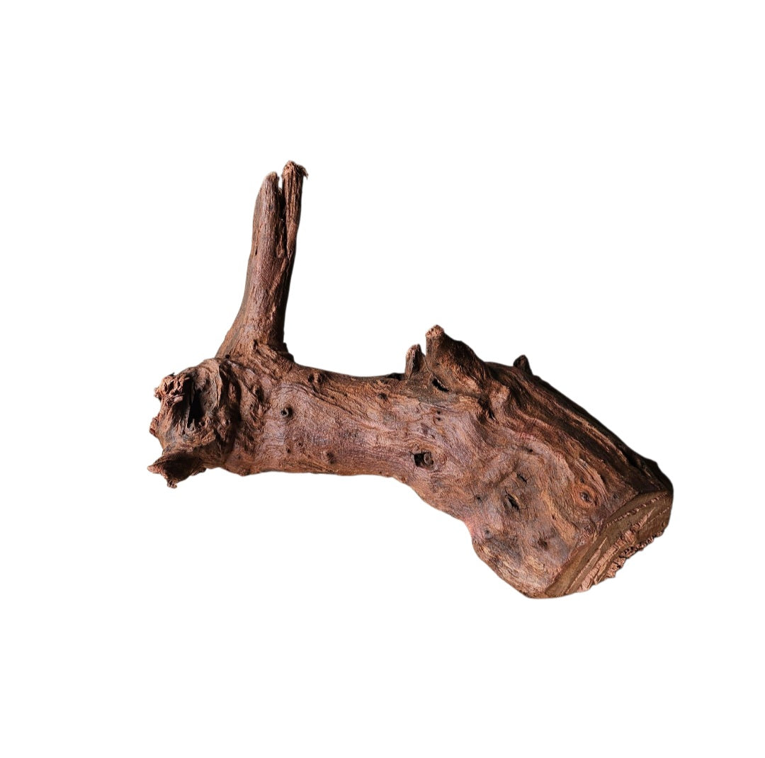 Driftwood / Flusswurzel   Nr.988