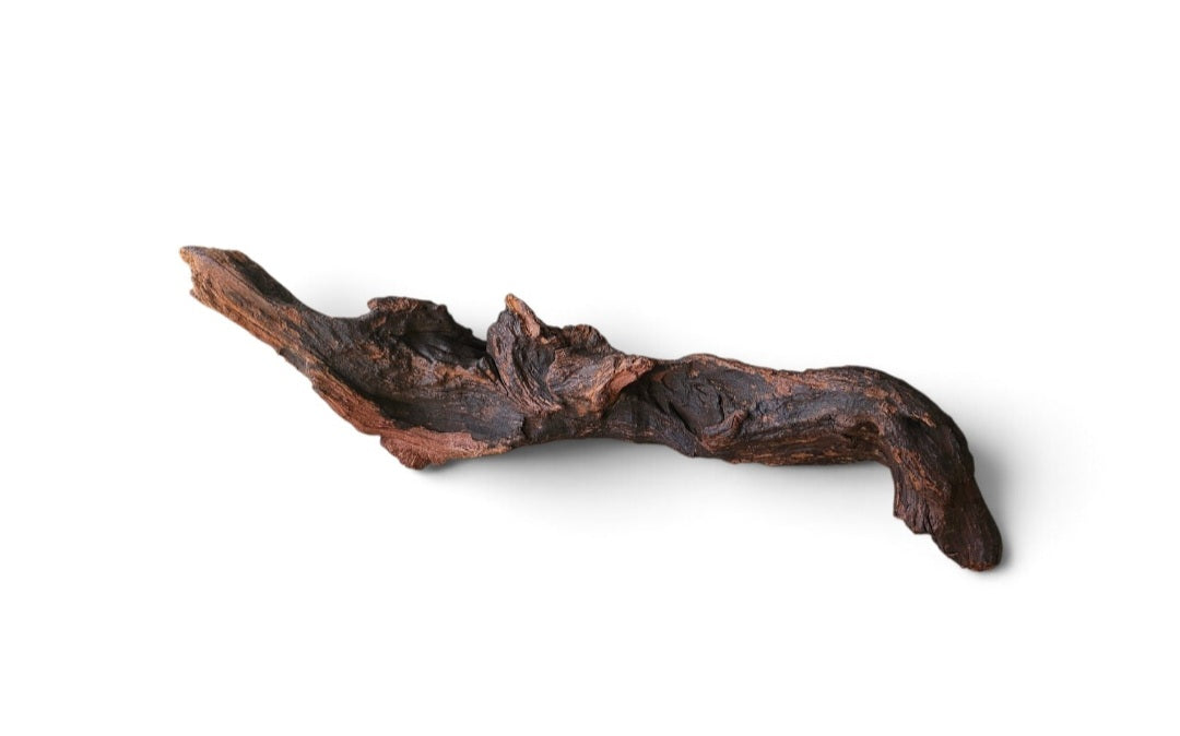 Driftwood / Flusswurzel   Nr. 694