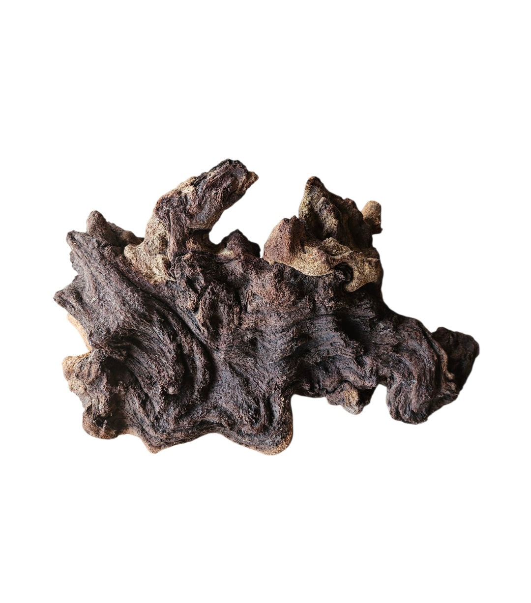 Mopani Wurzel  Nr.823