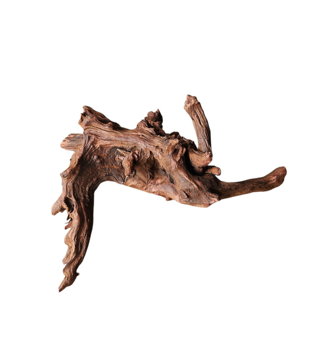 Driftwood / Flusswurzel   Nr. 252