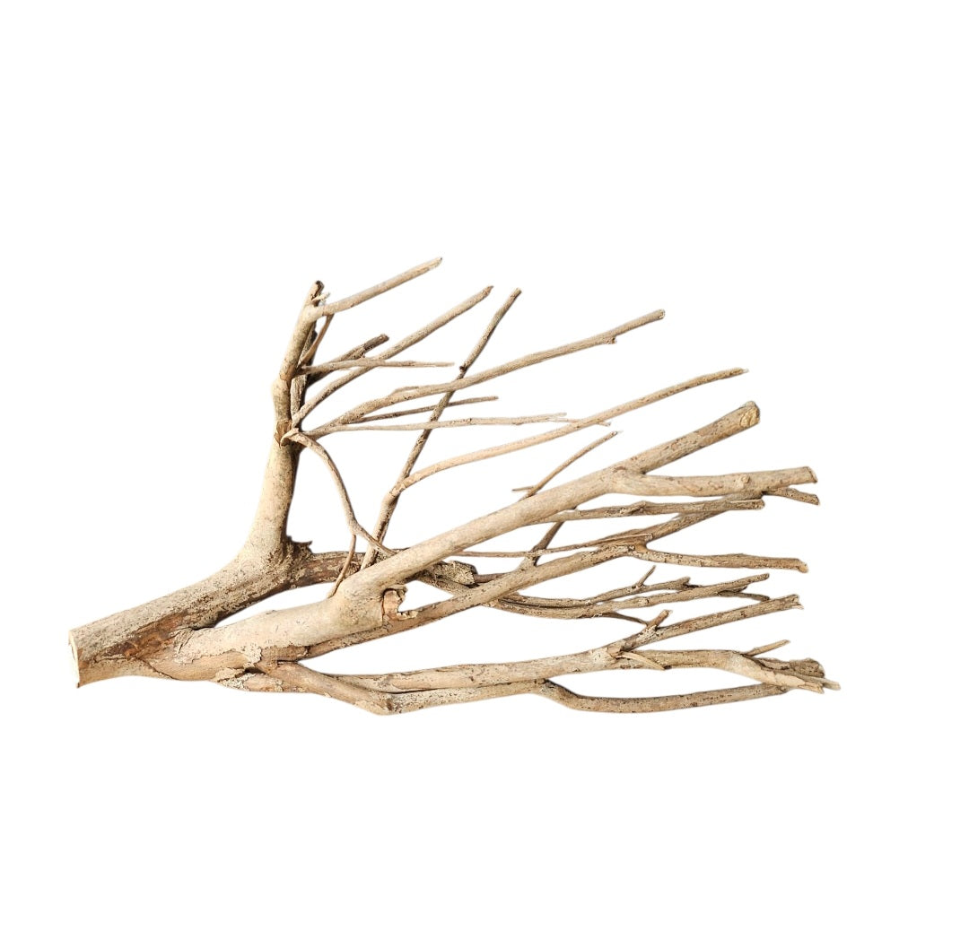 Talawa Holz / Wood 50-70 cm  Nr. 224