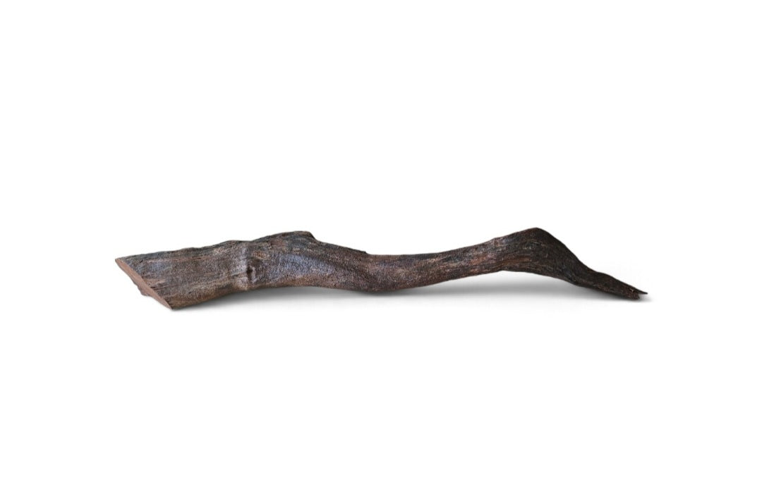 Driftwood / Flusswurzel   Nr. 111