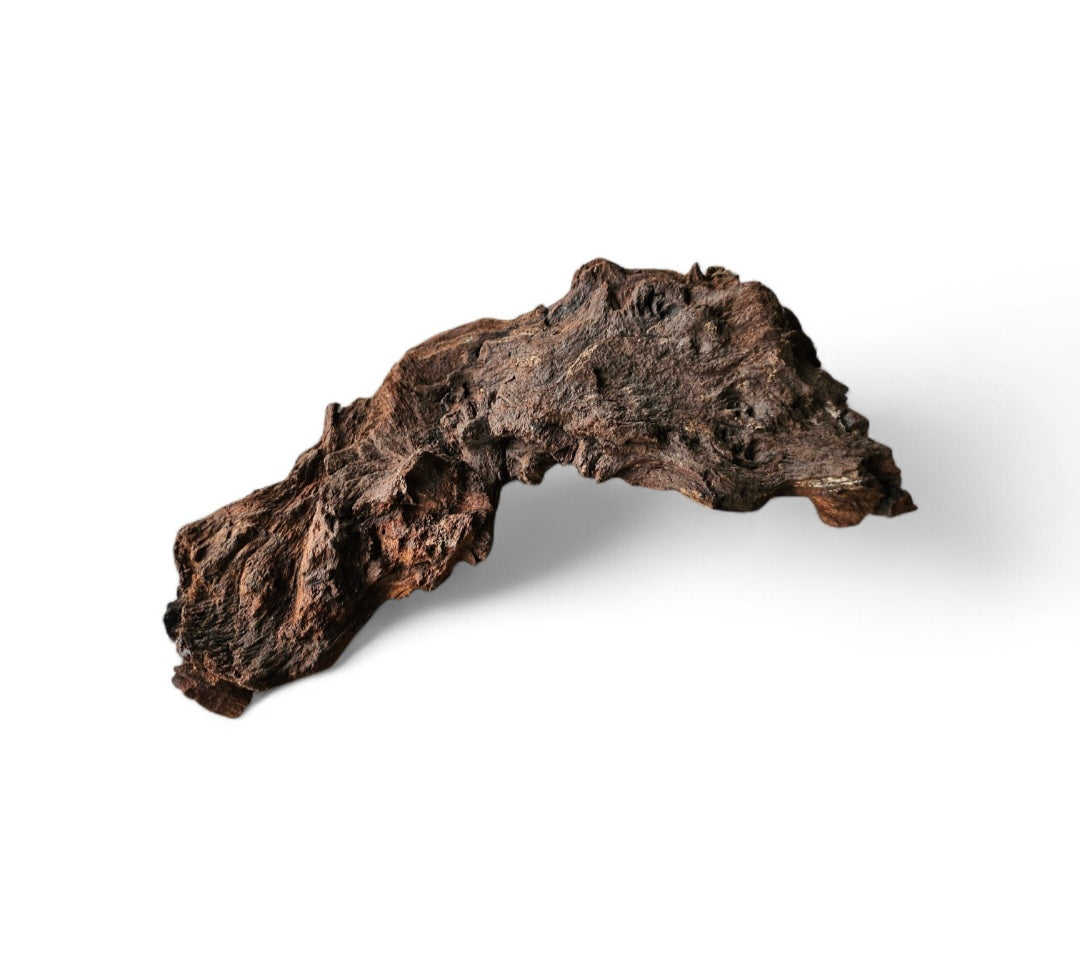 Mopani Wurzel  Nr.28