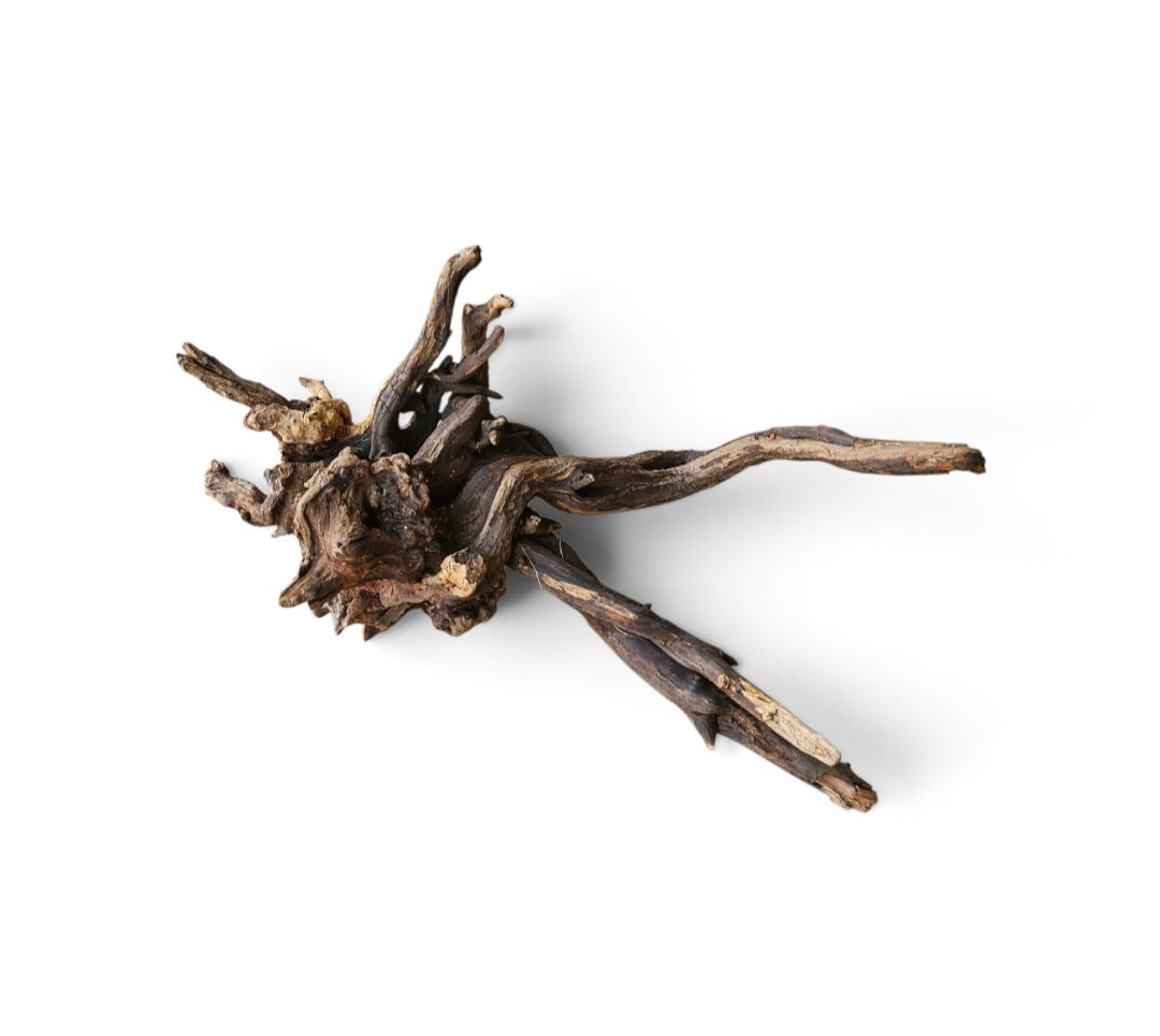 Coral Sinker Wood   Nr. 459