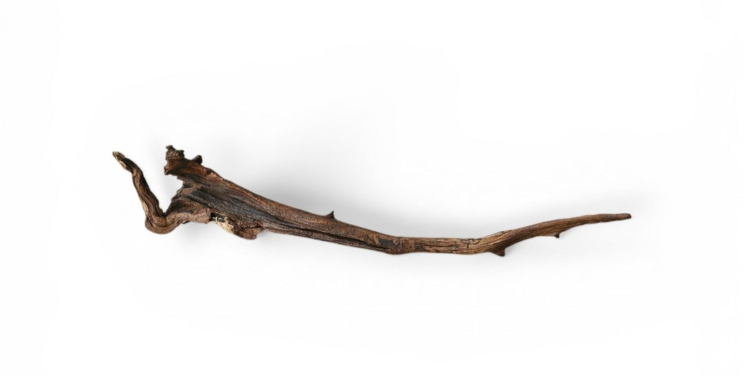 Driftwood / Flusswurzel   Nr. 252