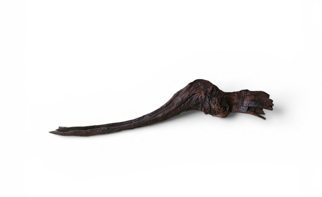 Driftwood / Flusswurzel   Nr.985