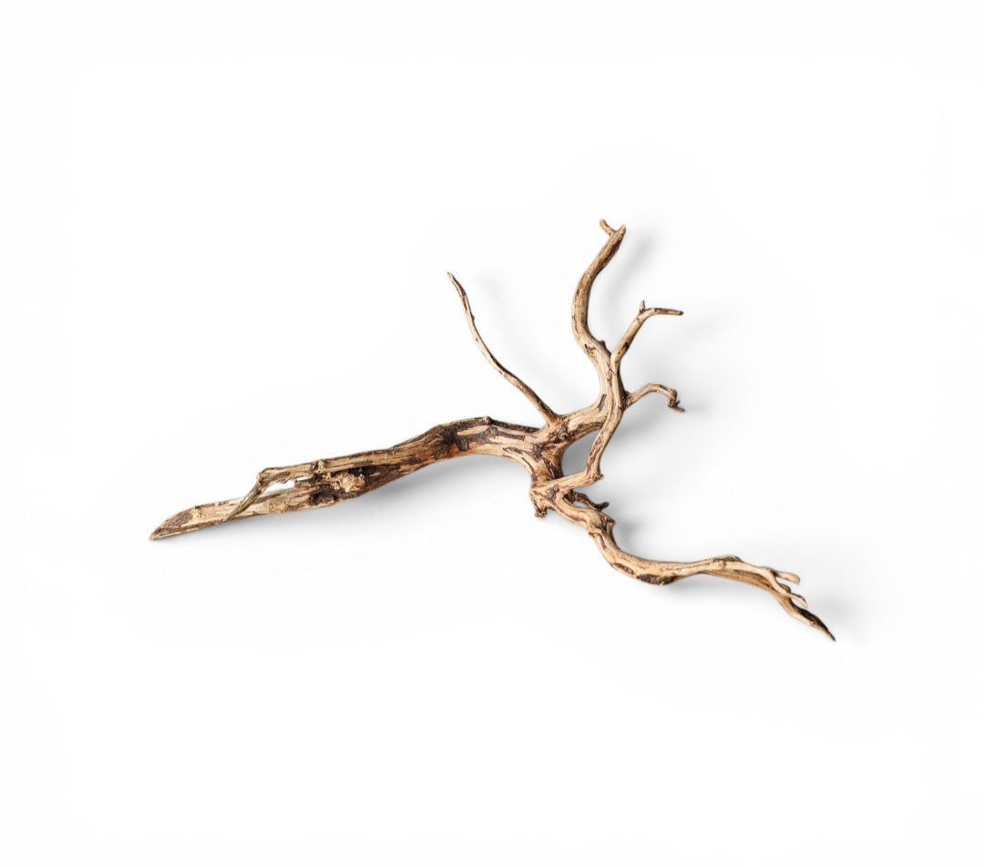 Dark Snake Wood   Nr.443