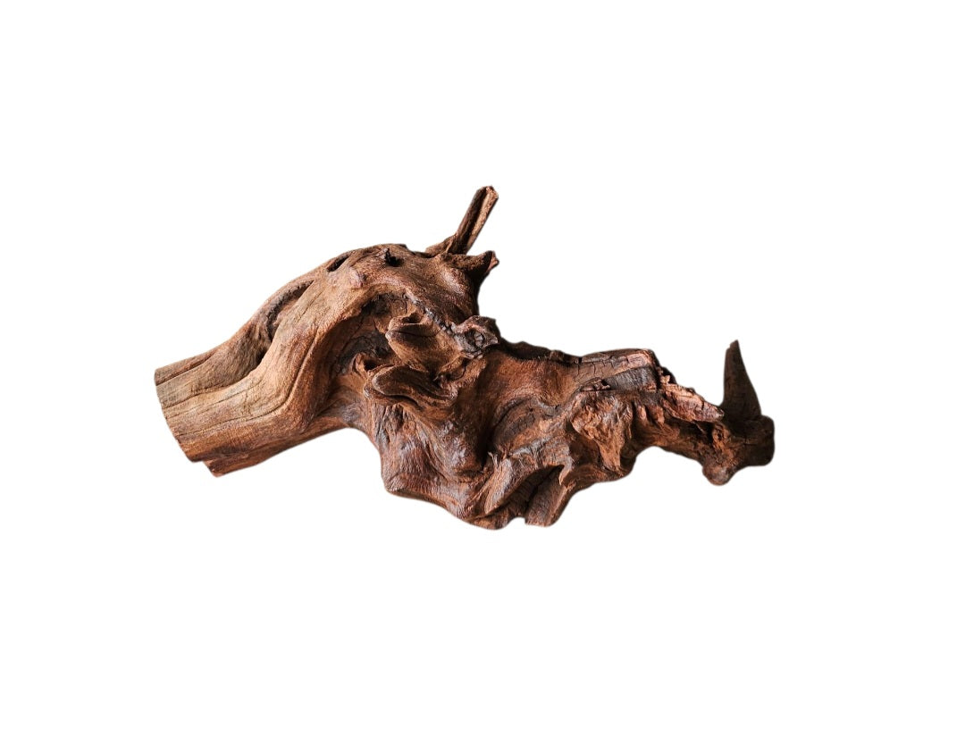 Driftwood / Flusswurzel   Nr.998