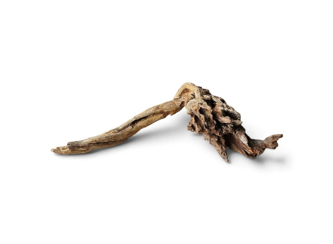 Coral Sinker Wood   Nr. 461