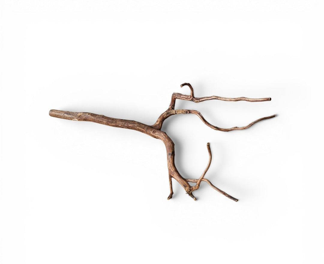 Dark Snake Wood   Nr.586