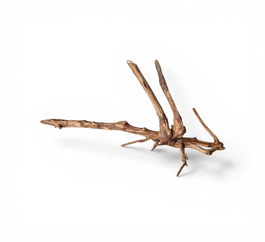 Dark Snake Wood   Nr.452