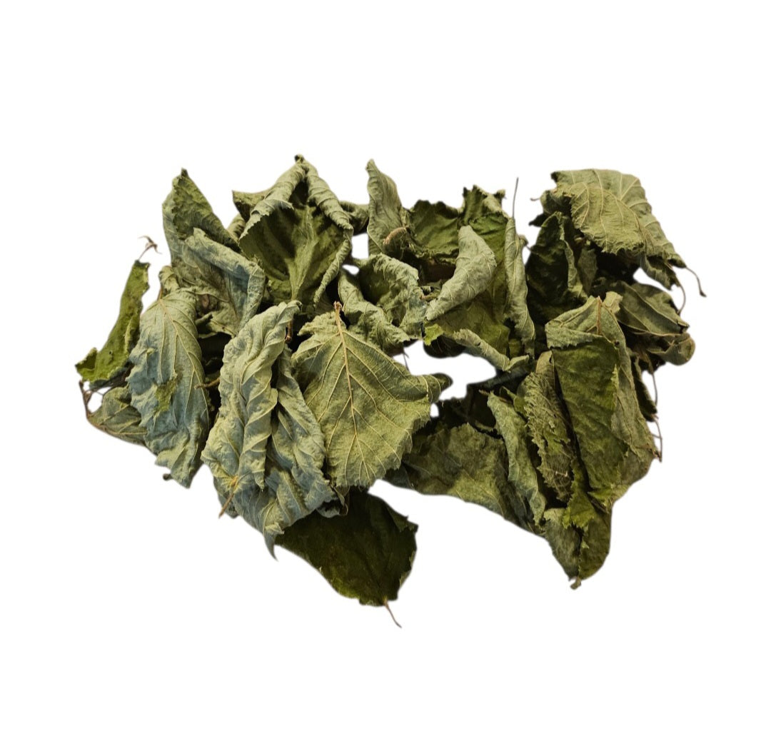 Brombeerblätter grün 30 Stück