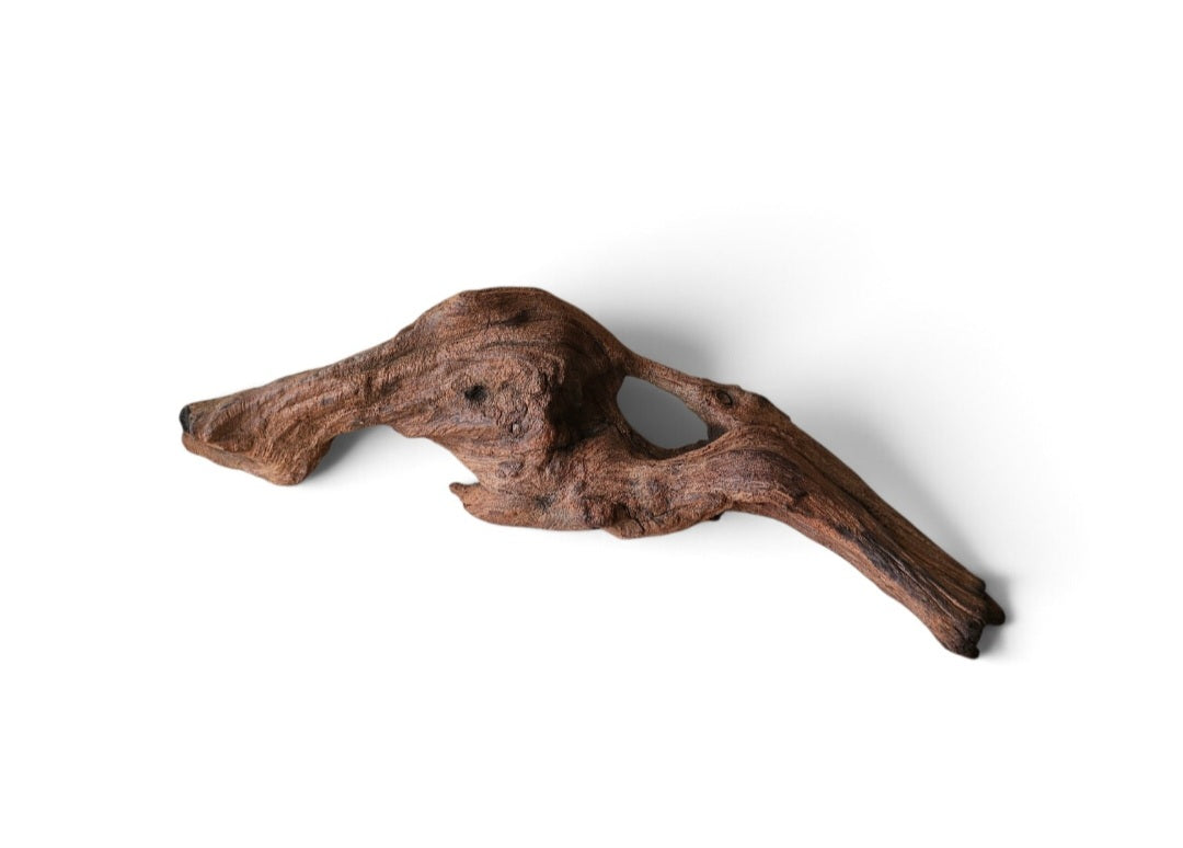 Driftwood / Flusswurzel   Nr. 784