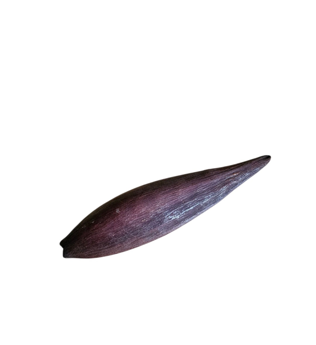 Canoinhas-Pods 10-15cm