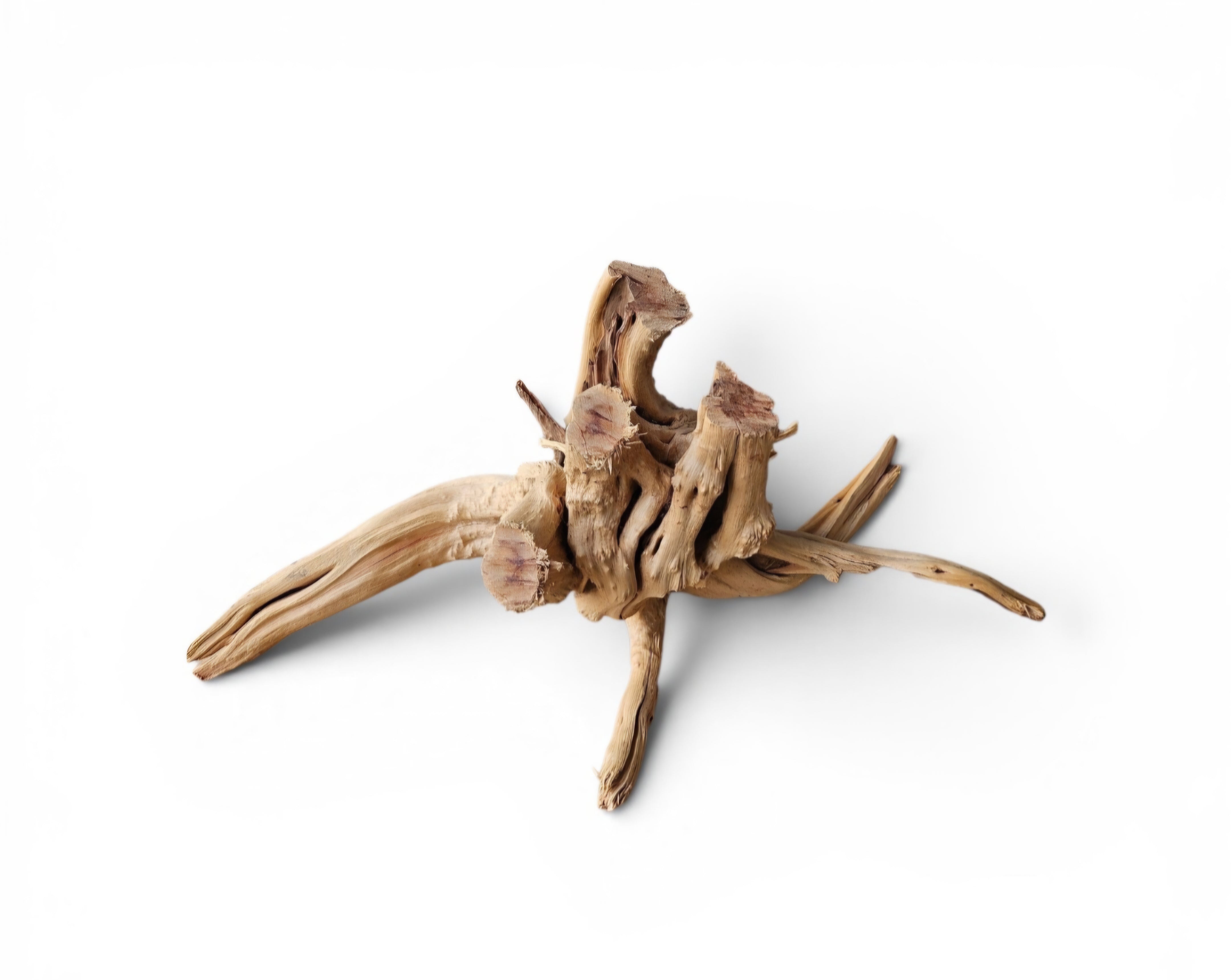 WIO Tree Trunk Wood  Wurzel 296