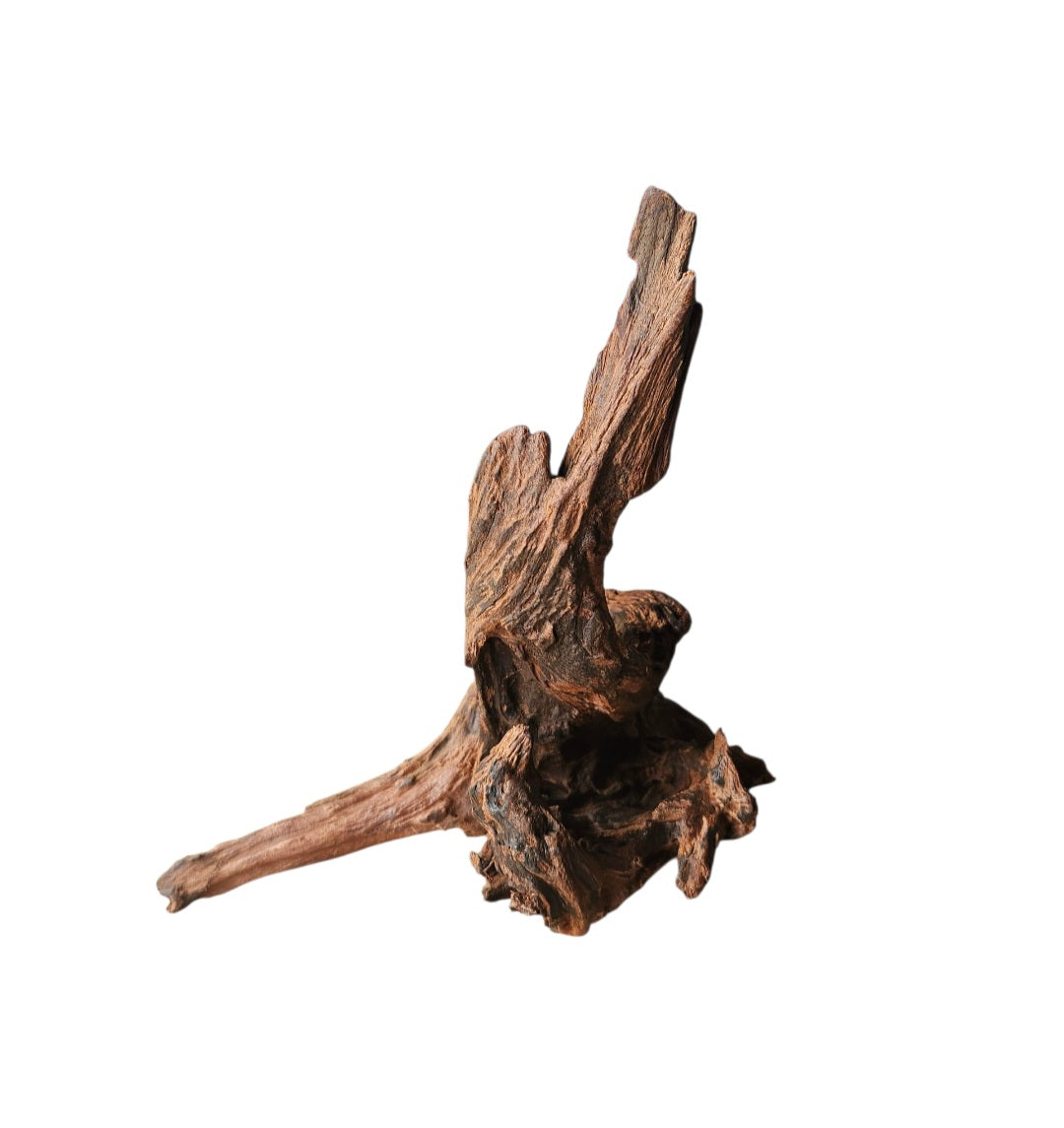 Driftwood / Flusswurzel   Nr.189