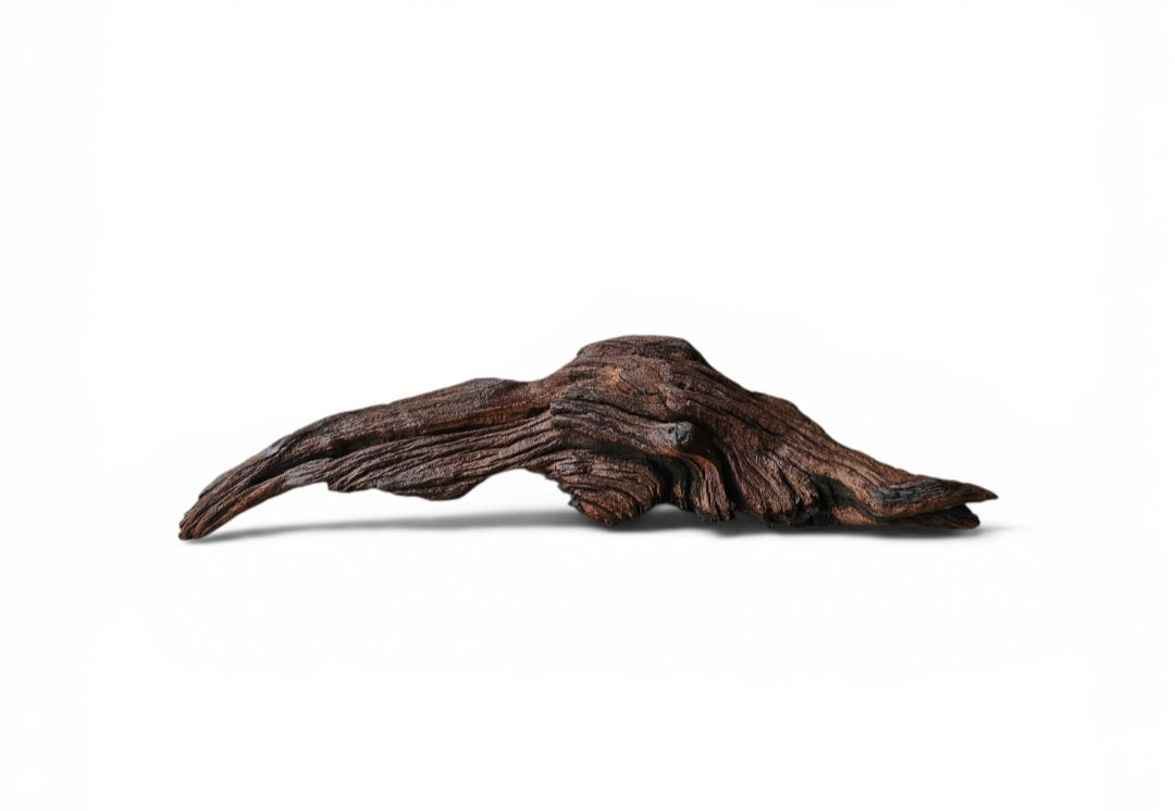 Driftwood / Flusswurzel   Nr. 480