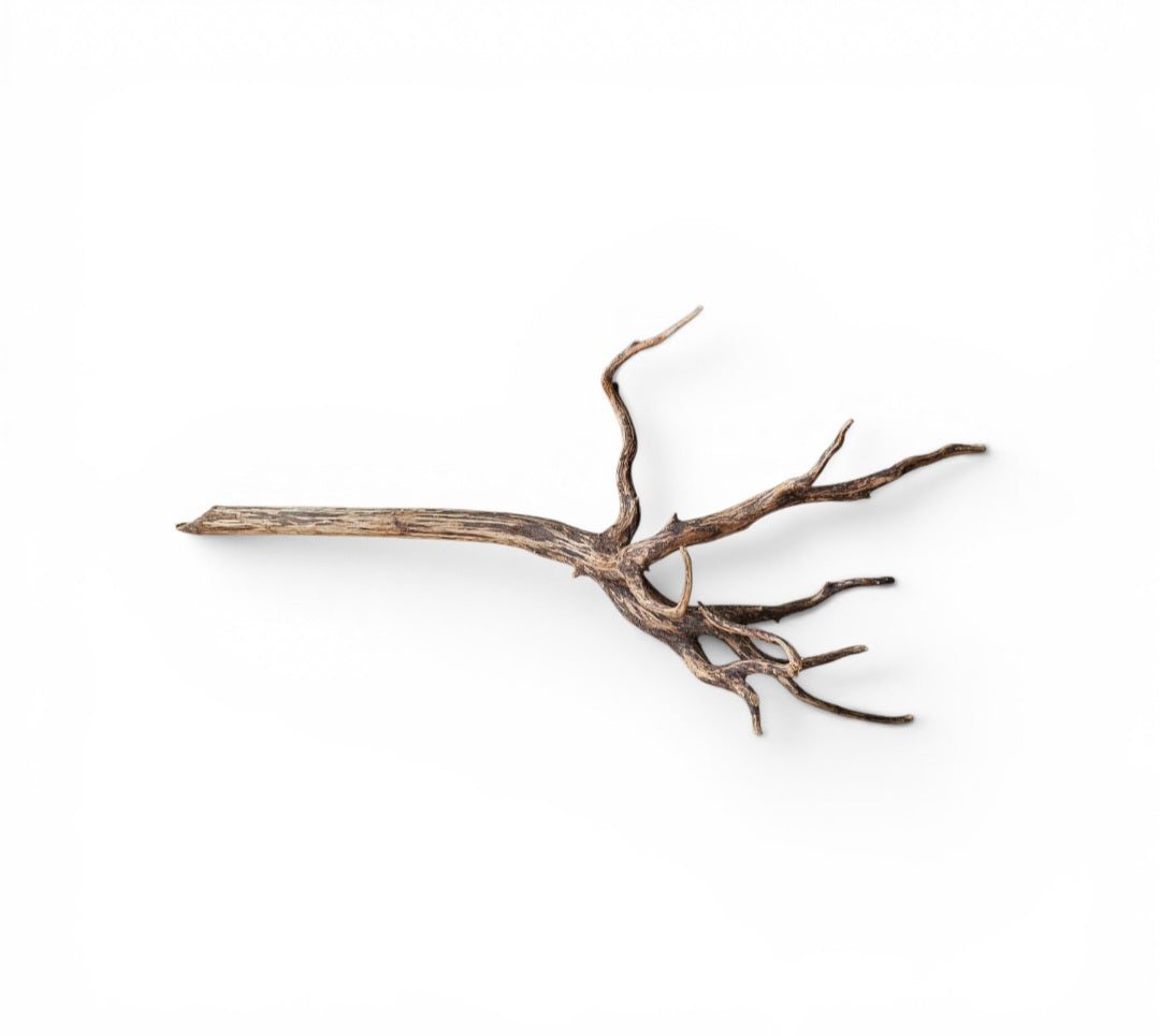 Dark Snake Wood   Nr.438