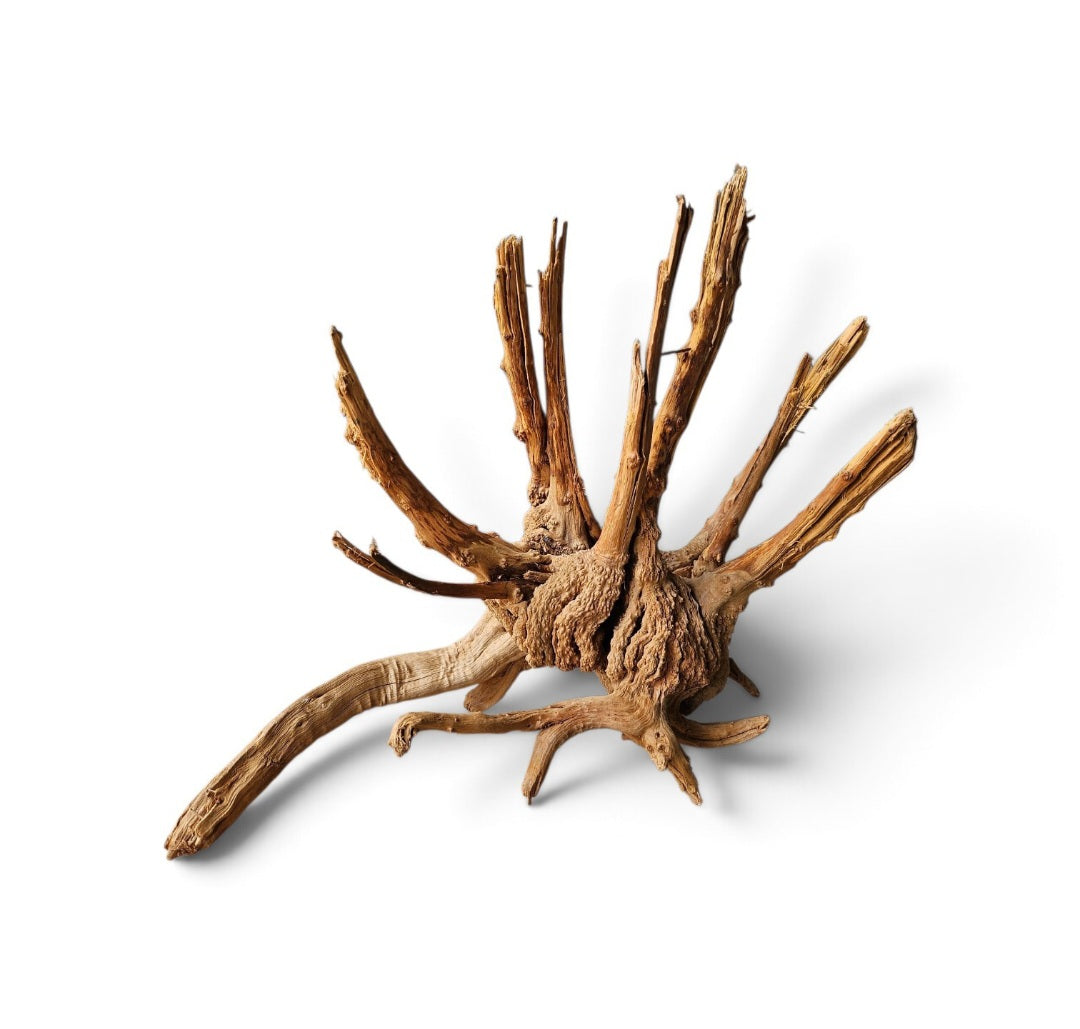 WIO Tree Trunk Wood  Wurzel 292
