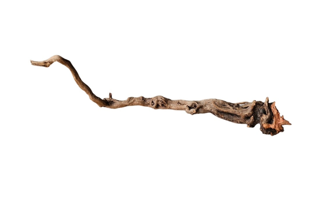 Coral Sinker Wood   Nr.604