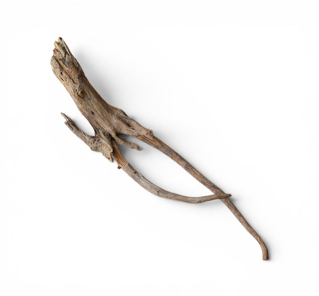 Black Slim Wood  Größe L Nr.722