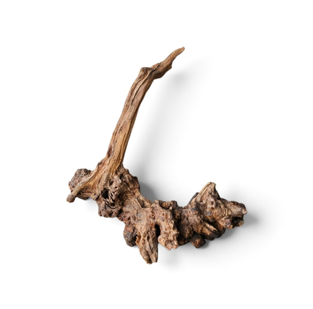 Coral Sinker Wood   Nr. 170
