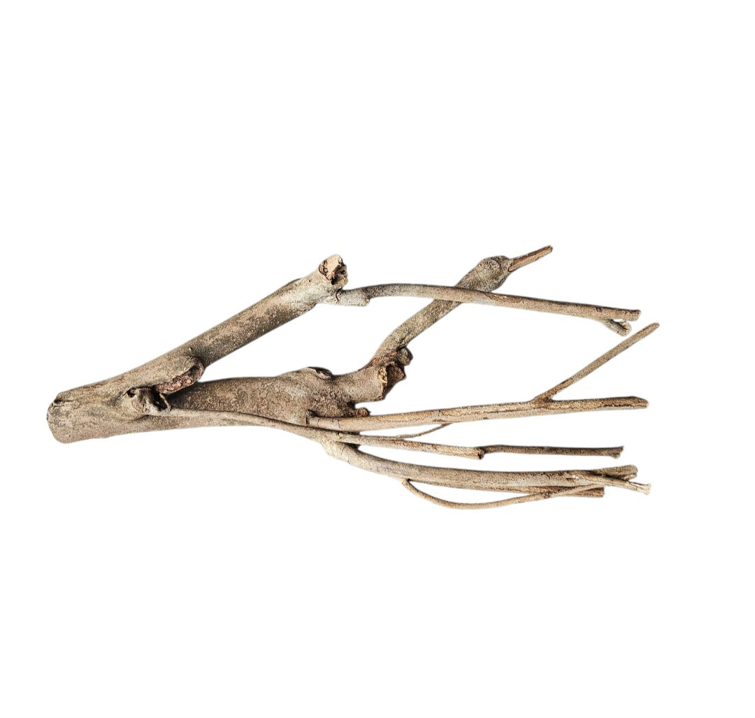 Talawa Holz/Wood 30-45cm    Nr.676