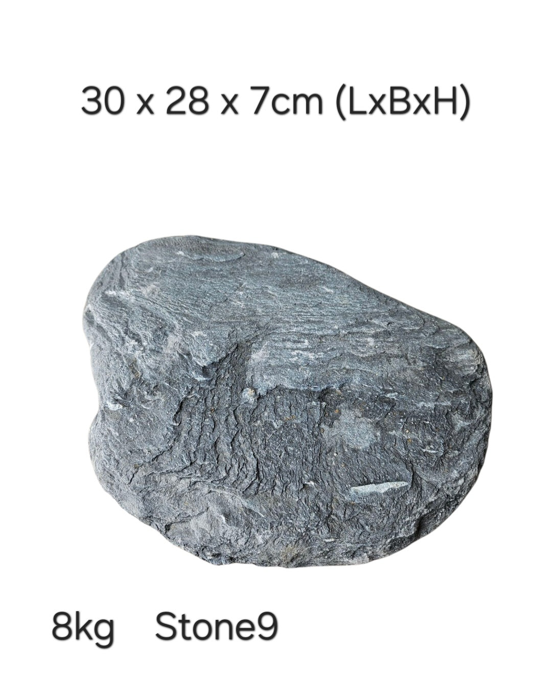 Wild Rhino Steine / Stones XL /  Main Stones