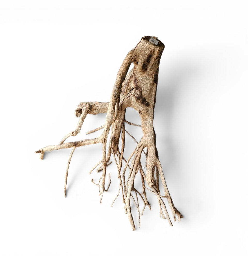 Talawa Holz / Wood 50-70 cm   Nr. 164